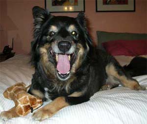 Cody smiling goodbye...