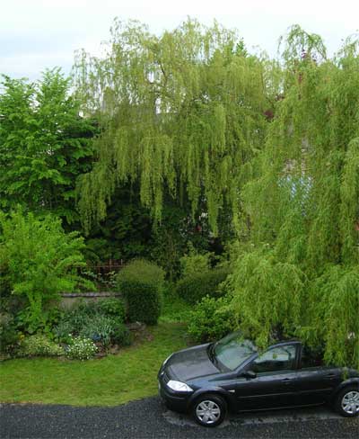 The view out our window at L'Atre Fleuri