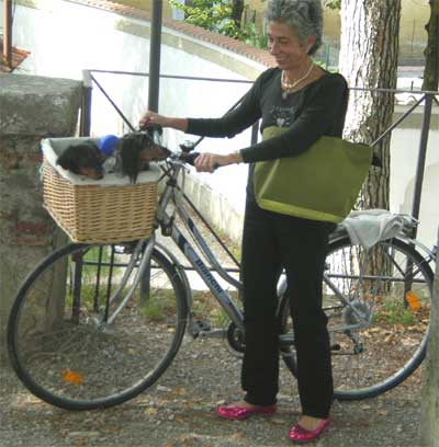 Woman with two cute dogs in her bicycle basket
