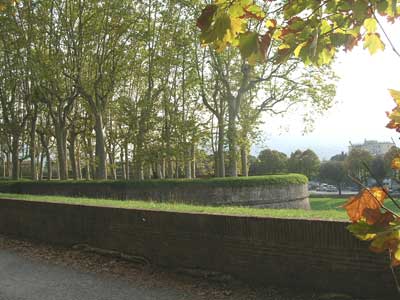 The ancient walls surrounding Lucca