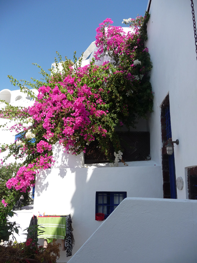 View outside our door on Santorini