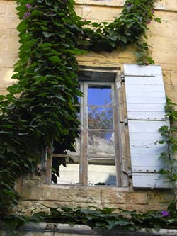 Lovley window in Arles