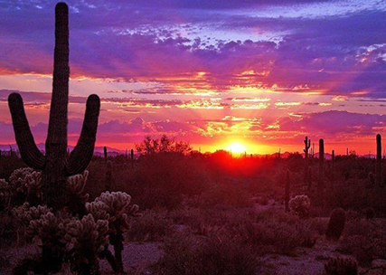 Tucson sunset - photo by Rob Ameln