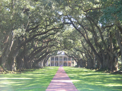 Oak Alley Plantation