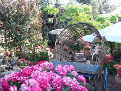 The beautiful gardens at Bar’s Estate Sha’al