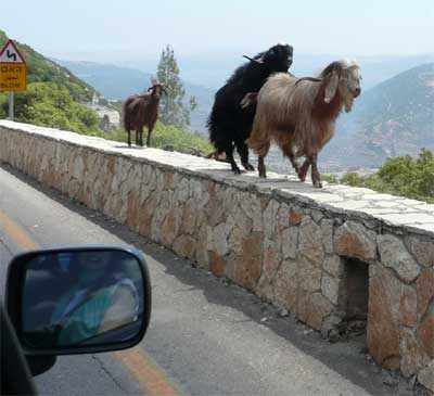 On the way down from the high hills of green Galilee