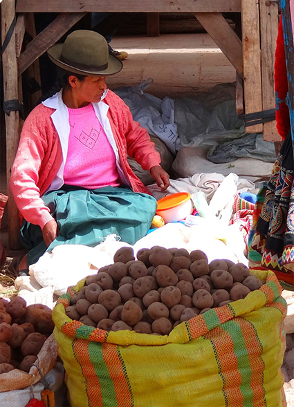 At the Pisaq Market