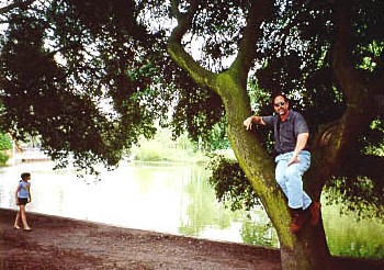 dml in a tree at Battersea Park