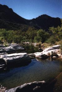 Sabino Canyon